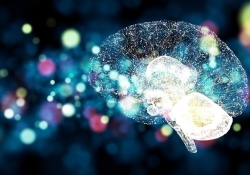 癫痫临床研究进展 细胞工厂技术在治疗中的应用与展望